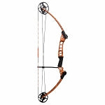 AMS Hooligan Bow and Kit