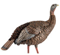 Avian X HDR Hen