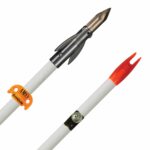 AMS AnKor FX Arrows
