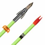 AMS AnKor QT Arrows