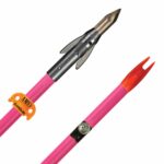 AMS AnKor QT Arrows