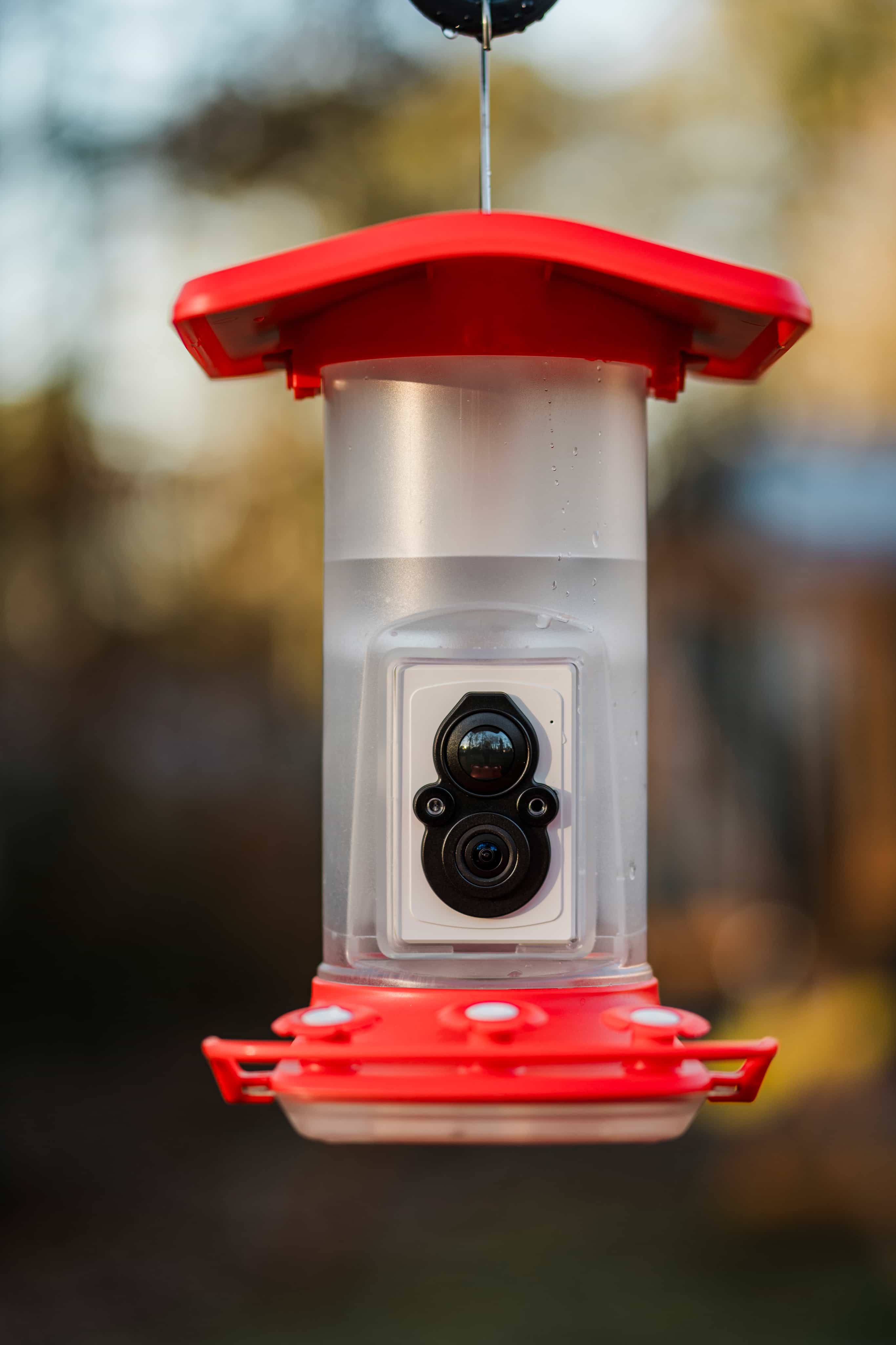 FeatherSnap Smart Solar Powered Bird Feeder