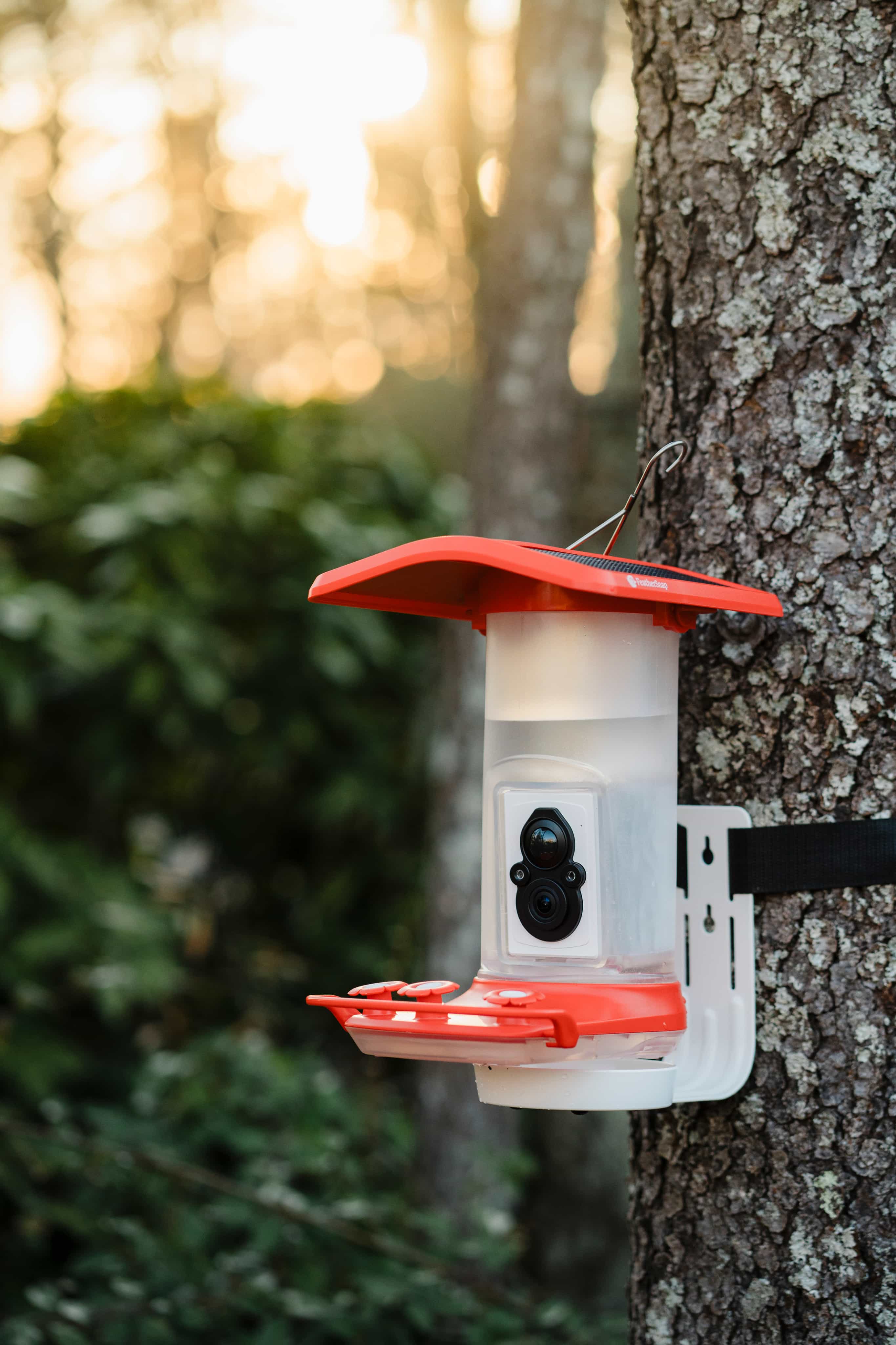 FeatherSnap Smart Solar Powered Bird Feeder