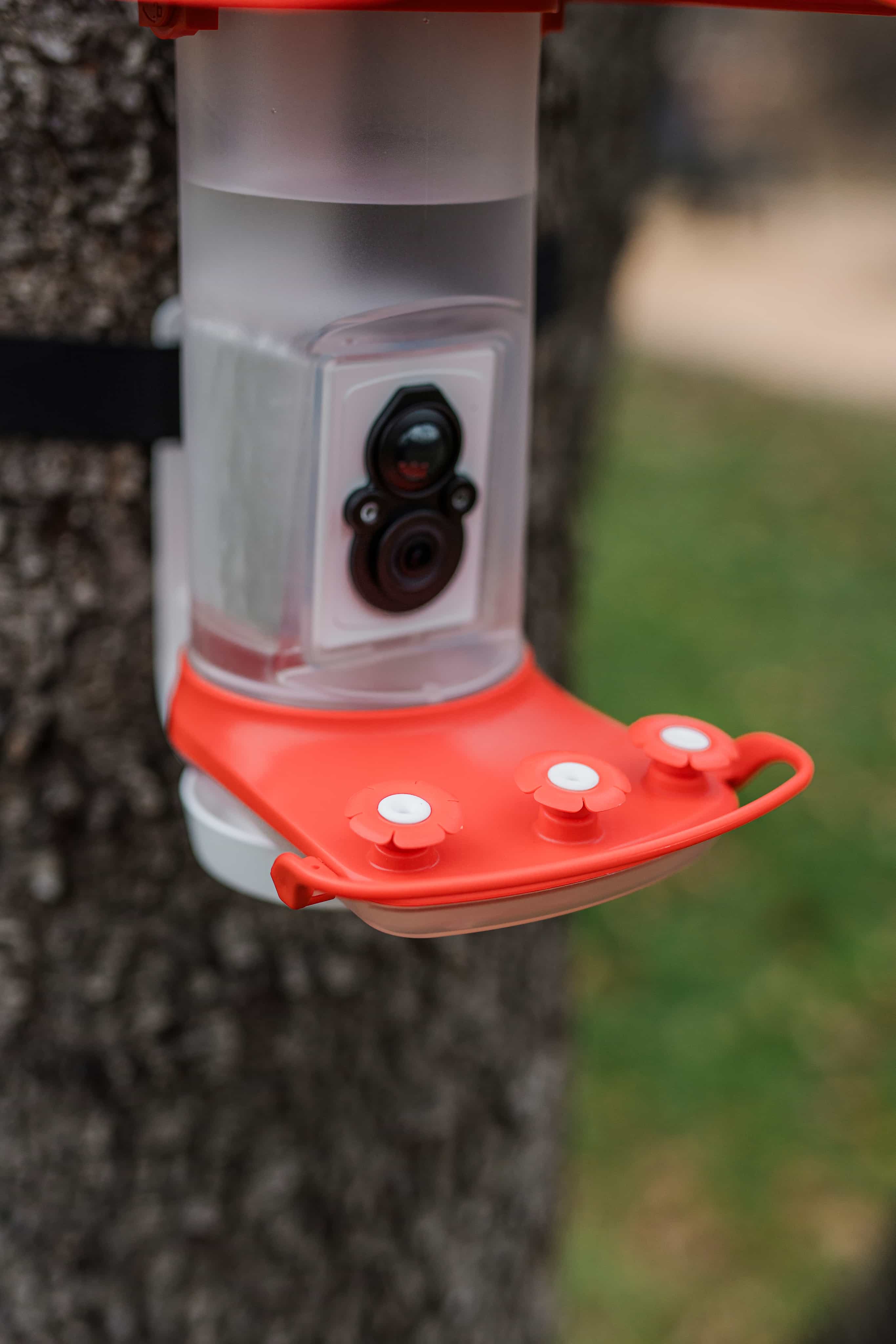 FeatherSnap Smart Solar Powered Bird Feeder