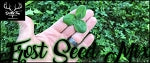 Double Tine Frost Seed Mix